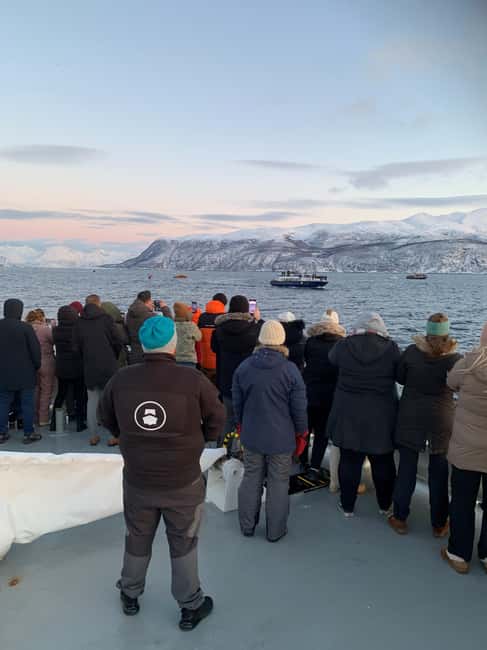 Tromsø Whale Safari with MS Keiser Wilhelm - Leaving Tromsø on the Keiser Wilhelm