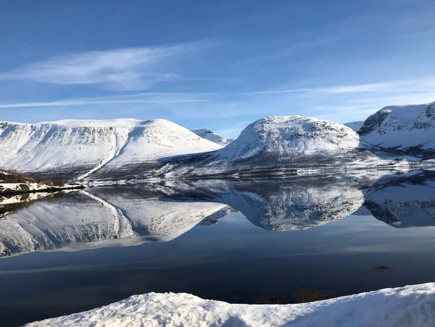 Tromsø Whale Safari with MS Keiser Wilhelm - What the guides explain along the way
