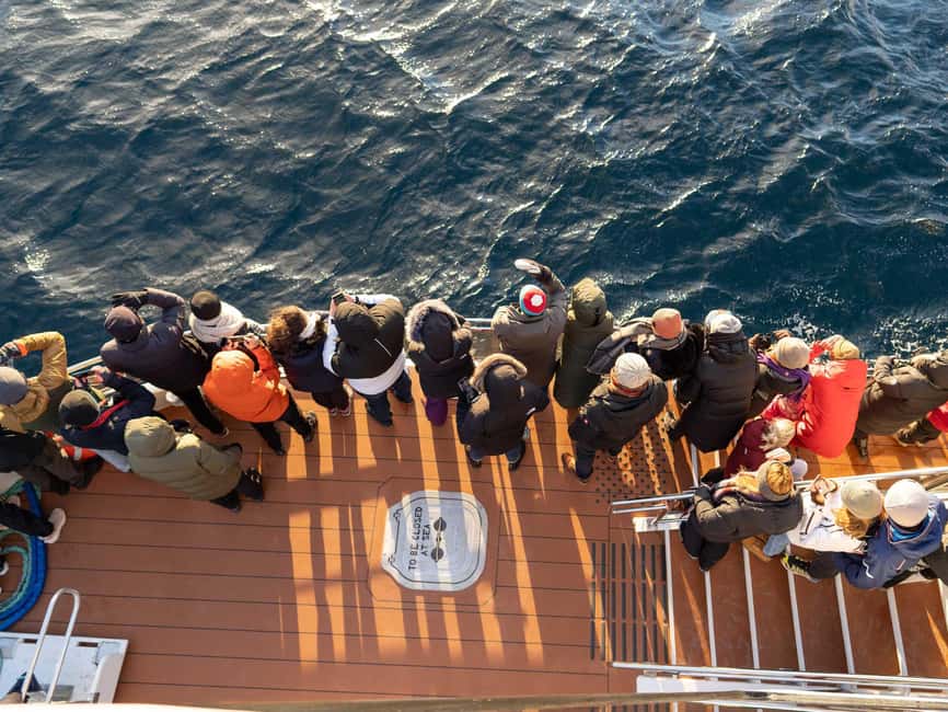 Tromsø: Whale Watching Tour by Hybrid-Electric Boat - Seasickness and clothing advice