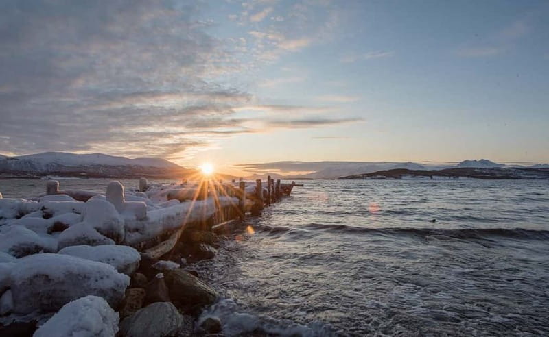 Tromsø: Winter Fjord Road Trip with Citizen Science - Why Kvaløya makes a good half-day outing