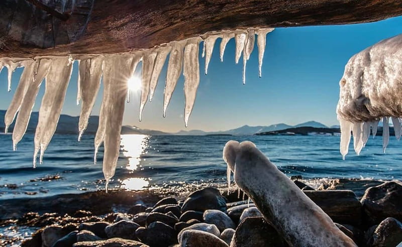 Tromsø: Winter Fjord Road Trip with Citizen Science - Citizen science that adds purpose to the drive