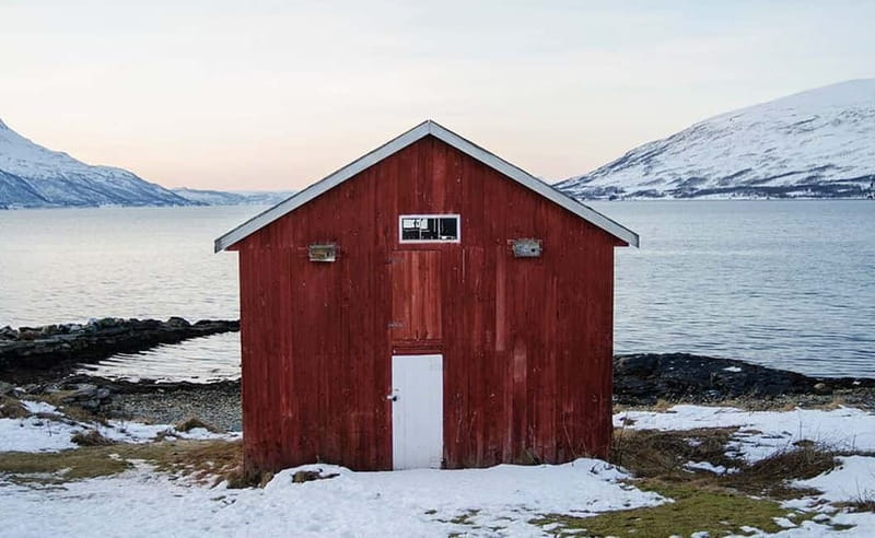 Tromsø: Winter Fjord Road Trip with Citizen Science - What the $161 price includes