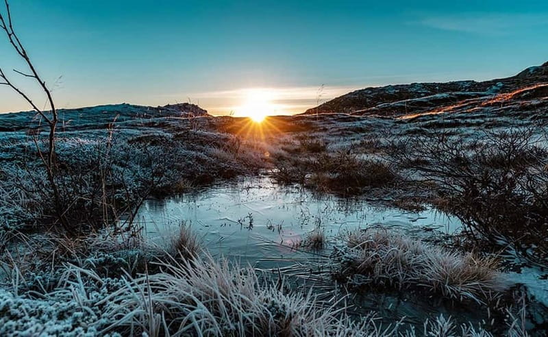Tromsø: Winter Fjord Road Trip with Citizen Science - Leaving Tromsø for the Arctic coast