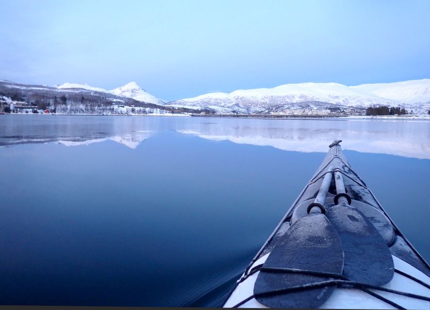 Tromsø: Winter Sea Kayaking Tour with Wildlife Sightings - Key points at a glance
