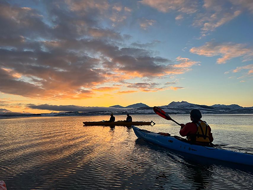 Tromsø: Winter Sea Kayaking Tour with Wildlife Sightings - Why winter is a fine time to kayak in Tromsø