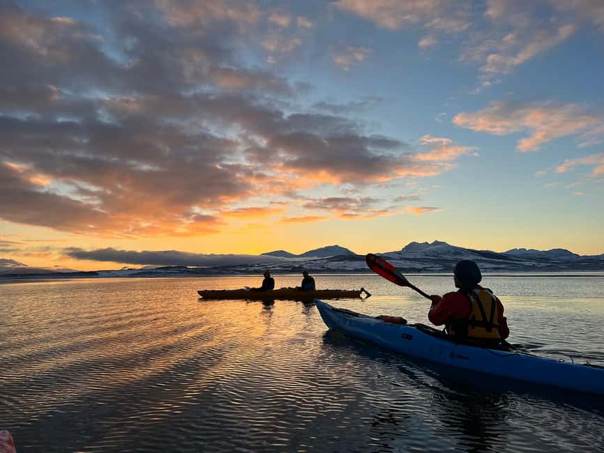 Tromsø: Winter Sea Kayaking Tour with Wildlife Sightings - Wildlife sightings without a promise