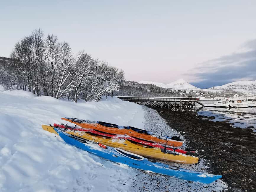 Tromsø: Winter Sea Kayaking Tour with Wildlife Sightings - Is $191 a fair price?