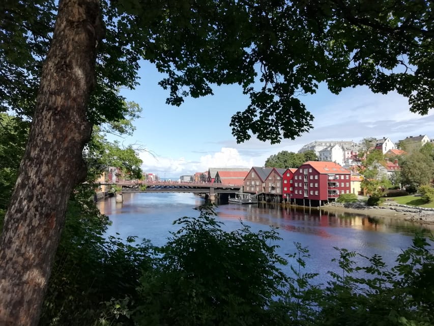 Trondheim : Explore the city of kings with a local guide - Nidaros Cathedral, the grand centerpiece