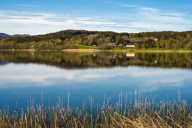 Trondheim Private Walking Tour with a Local - What this Trondheim walk is really designed to do