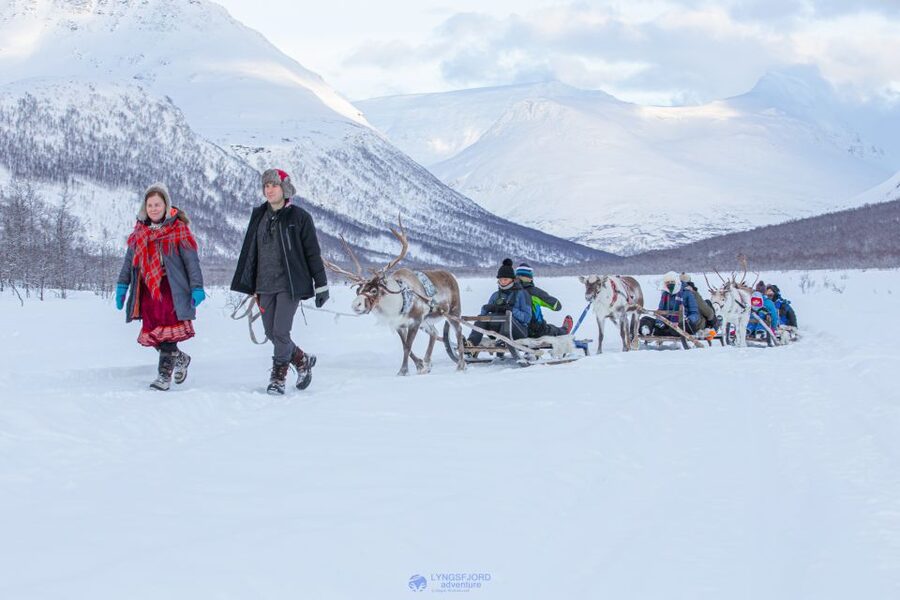 True Locals of the Arctic: Reindeer Sledding at Camp Tamok - A sled ride built around Sami stories