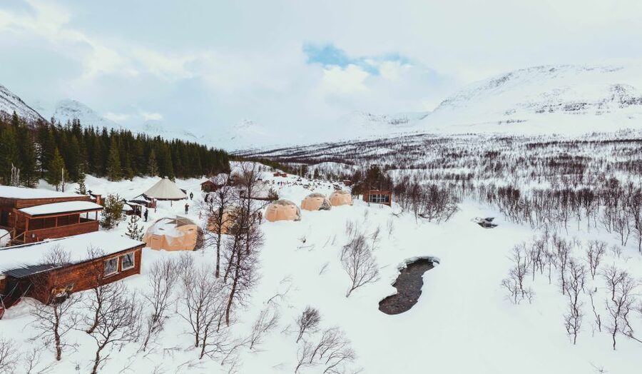 True Locals of the Arctic: Reindeer Sledding at Camp Tamok - Meeting the reindeer herd