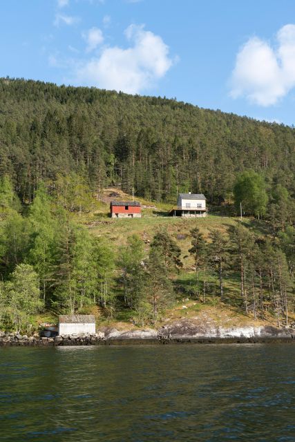 Ulvik adventure: Exploring Hardangerfjord's Osafjord by RIB - What the one-hour schedule really gives you