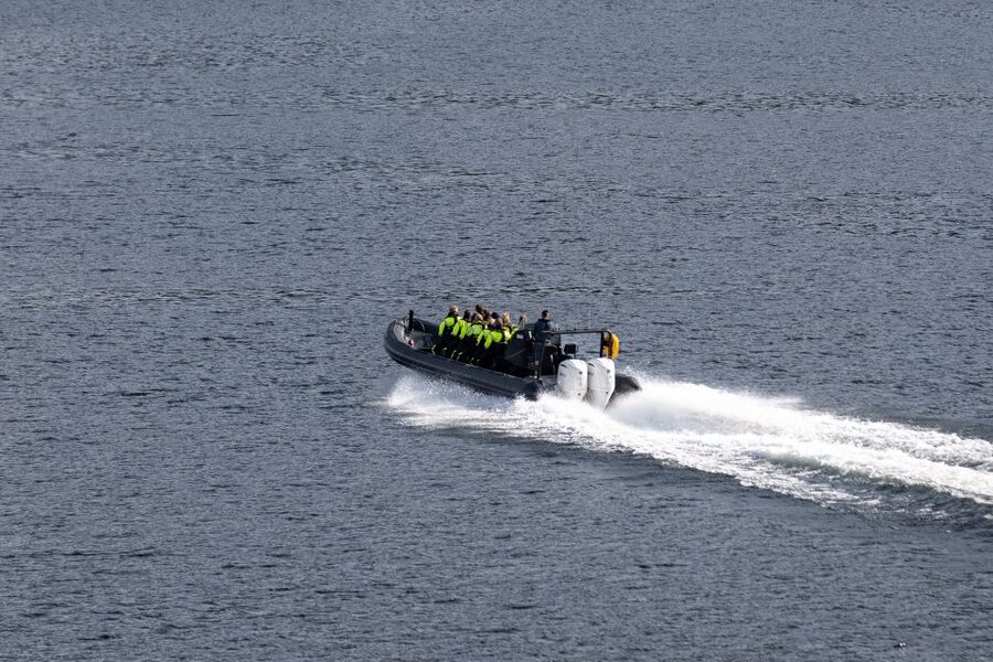 Ulvik: Hardangerfjord Ultimate RIB Tour - Key points at a glance