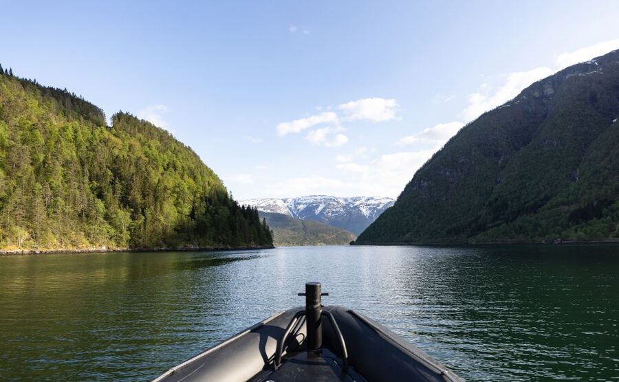 Ulvik: Hardangerfjord Ultimate RIB Tour - What the 105 minutes feel like on board