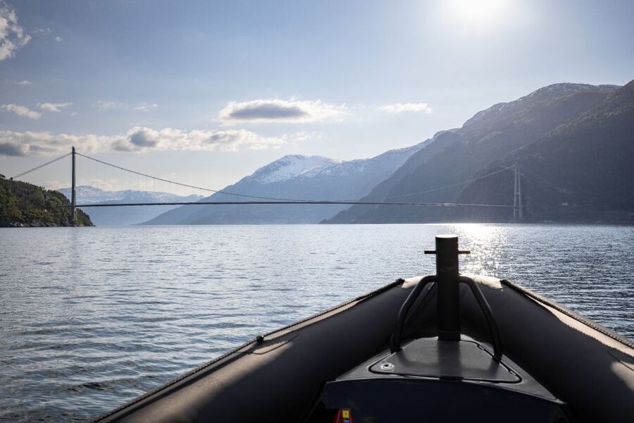 Ulvik: Hardangerfjord Ultimate RIB Tour - Local stories, wildlife, and the limits of an open boat