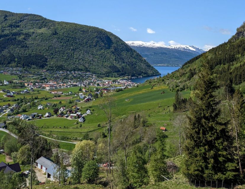 Vik i Sogn: Authentic Farm Visit - A Quiet Farm Visit Above Vik