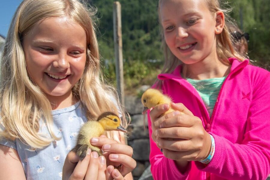 Vik i Sogn: Authentic Farm Visit - Goats, Sheep, and Horses in the Surrounding Pastures