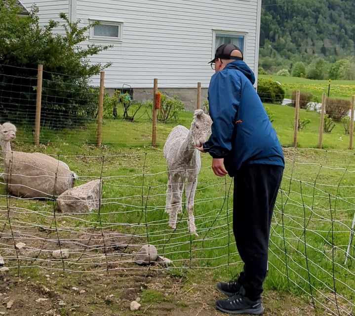 Vik i Sogn: Authentic Farm Visit - Should You Book This Farm Visit?