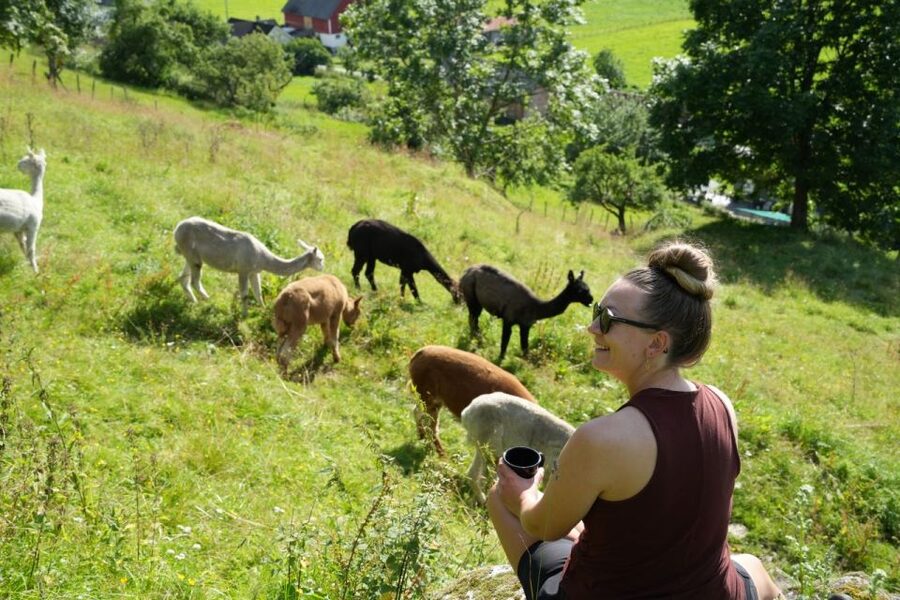 Vik i Sogn: Authentic Farm Visit - Muscovy Ducks, Ducklings, and the Farm Pond