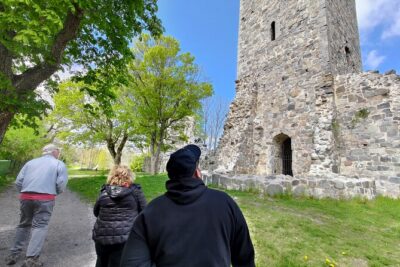 Viking History, Runes & Countryside 9h Tour to Sigtuna & Uppsala