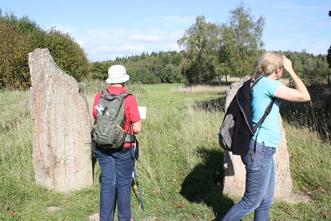 Viking History Small Group Tour from Stockholm: Half Day Including Sigtuna - How small is the group?