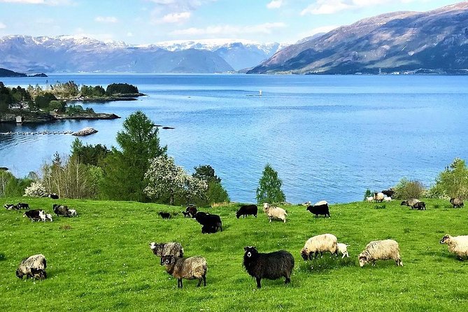 Viking Islands from Alesund: 5-Hour Private Group Tour - Giske Church and the saga island