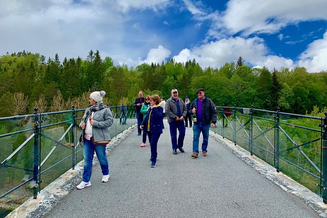 Viking Islands from Alesund: 5-Hour Private Group Tour - Borgund, the old market town