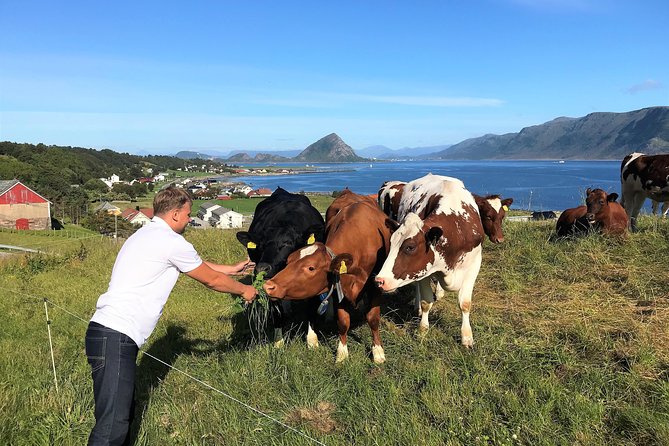 Viking Islands from Alesund: 5-Hour Private Group Tour - Hessa and the Ålesund Storsenter viewpoint