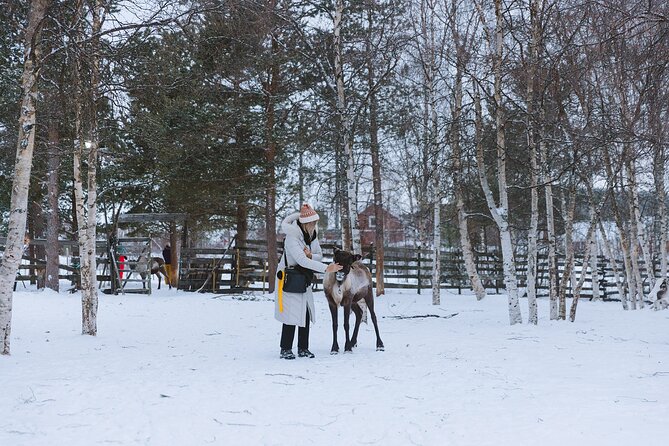 Visit the Sami and Reindeer in a Day Trip from Abisko - The real value of a $169.60 day trip