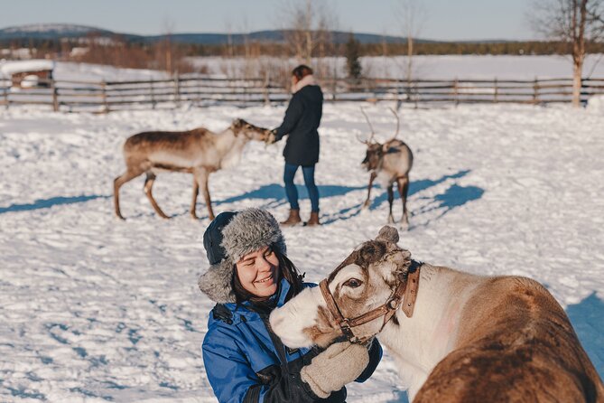 Visit the Sami and Reindeer in a Day Trip from Abisko - What the open-air museum adds