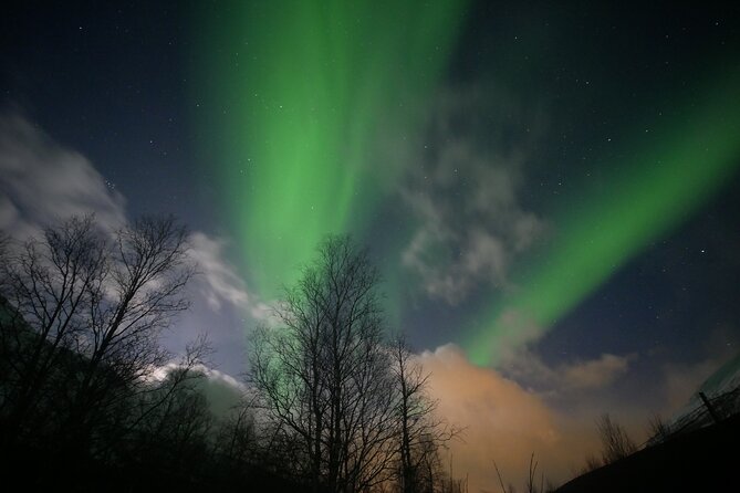 Watching The Aurora Dance - Sausage, Norwegian toppings, and hot drinks