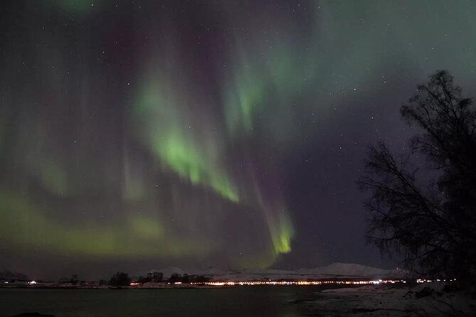 Watching The Aurora Dance - Is $167.36 a fair price?