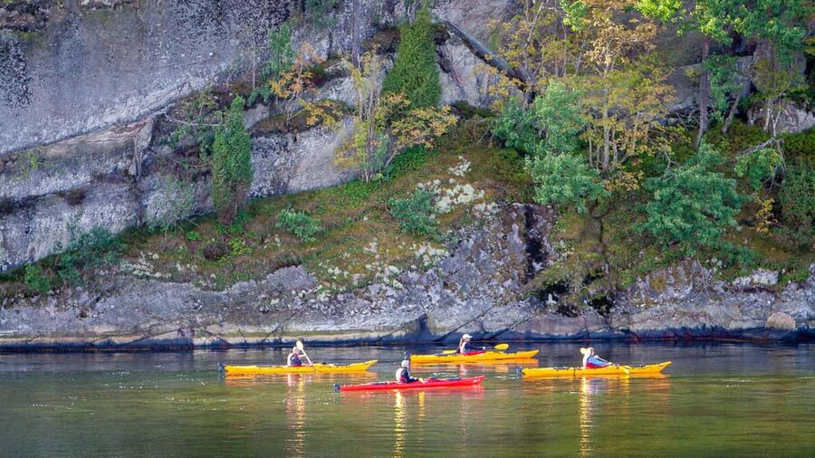 West Sweden: Sea Kayak Delight in Nature Reserves - Lunch, coffee, and Swedish fika on the island