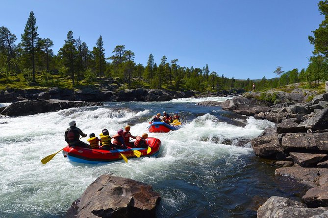 White Water Rafting Adventure in Dagali - level 2 - Rafting the Numedalslågen on a Level 2 Run