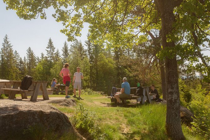 Wildlife Forest Hike - Skjennungen Forest and the value of a guided walk