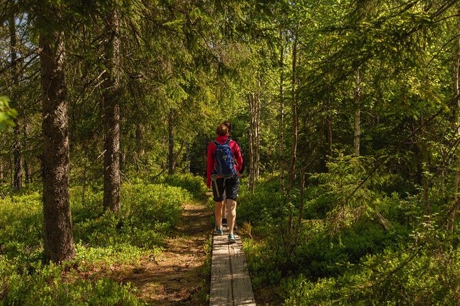 Wildlife Forest Hike - Finishing at Sognsvann Lake and returning by metro