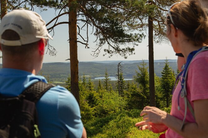 Wildlife Forest Hike - The climb to Skjennungstoppen