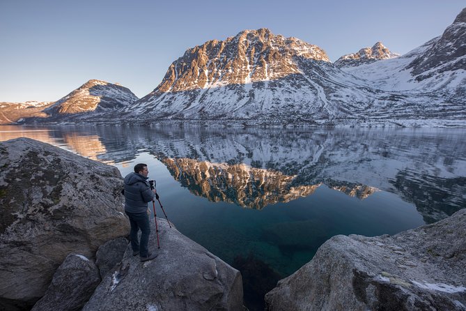 Winter Fjord Road Trip with Wandering Owl - Reindeer, research, and the human side of the Arctic