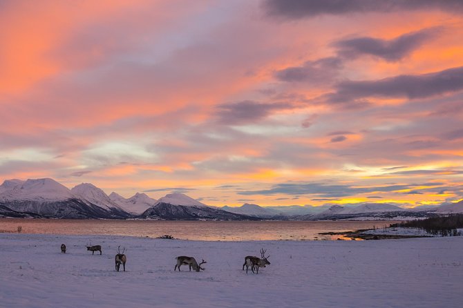 Winter Fjord Road Trip with Wandering Owl - Why the $139.93 price can make sense