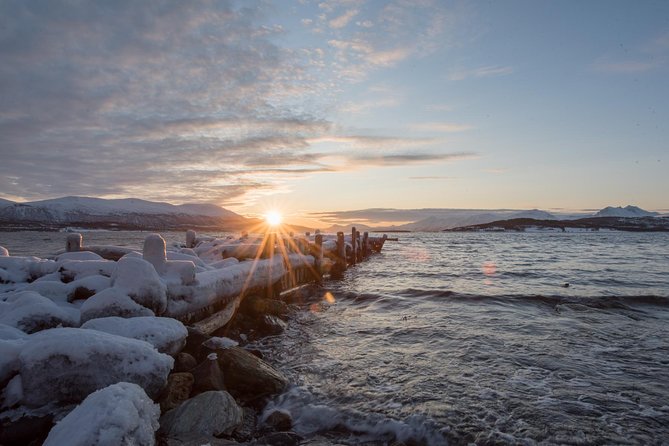Winter Fjord Road Trip with Wandering Owl - Winter clothing, toilets, and comfort