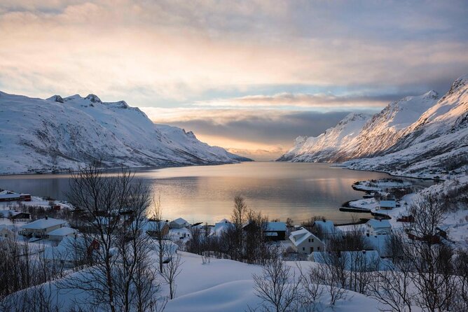 Winter Fjord Road Trip with Wandering Owl - Ersfjordbotn and the changing winter light