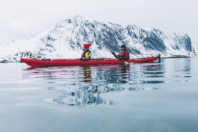 Winter Half Day Kayak Tour - Key points to know before you book