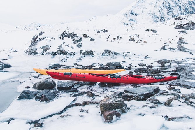 Winter Half Day Kayak Tour - A strong choice for complete beginners