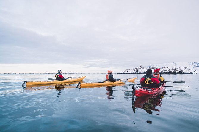 Winter Half Day Kayak Tour - Is $118.45 a fair price?