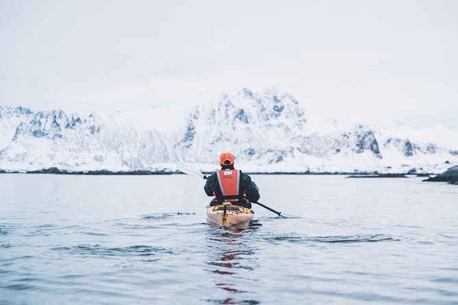 Winter Half Day Kayak Tour - Timing, meeting point, and planning your day