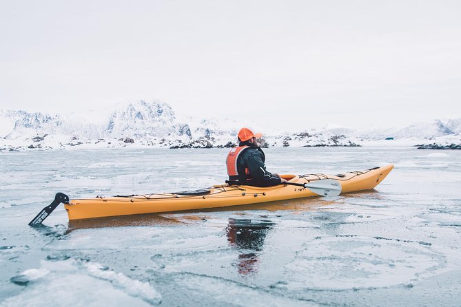 Winter Half Day Kayak Tour - What the excellent feedback tells you
