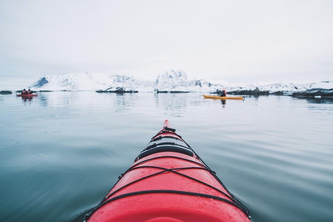 Winter Half Day Kayak Tour - Drysuits make the cold manageable, not irrelevant