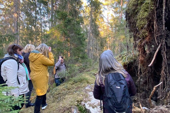Wolf and Wildlife Tracking in Sweden - Following Wolves Beyond Stockholm
