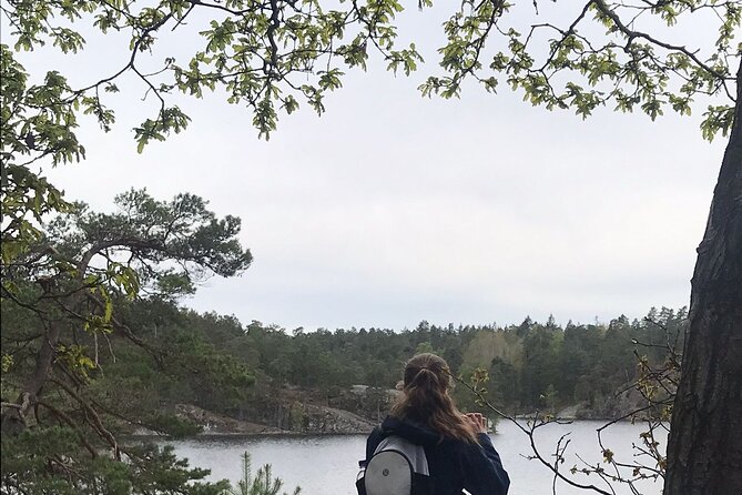Wolf and Wildlife Tracking in Sweden - The 6-Kilometer Wolf Search